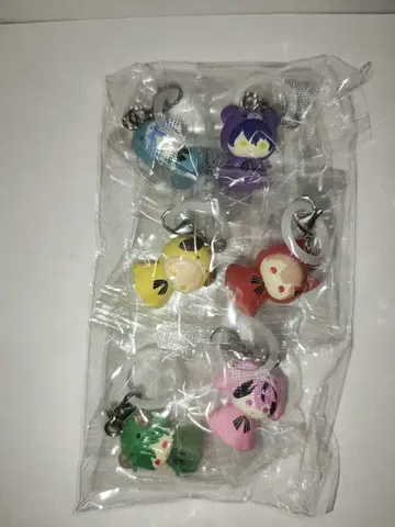 시쿠포니 메지루시 액세서리 6종 컴플리트