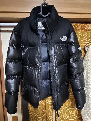 한국 THE NORTH FACE 다운 자켓 일본 미발매 모델 에코 다운