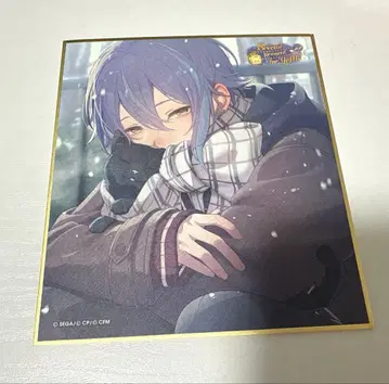 프로세카 53c 색지 카미시로 루이