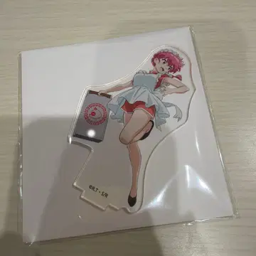 란마 1/2 격투 배달 레이스 아크릴 스탠드 사오토메 란마