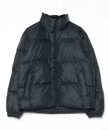 The North Face 블랙 다운 자켓