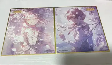 프로세카 53a 색지 아키야마 미즈키 MEIKO