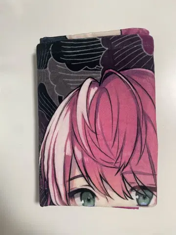 테루토 군 타월