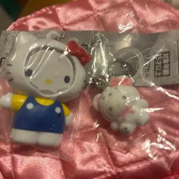 익명 배송 메지루시 포근 스노우 사진 프레임 마스코트 키티 가챠