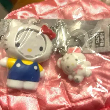 익명 배송 메지루시 포근 스노우 사진 프레임 마스코트 키티 가챠