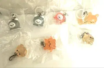 [ 묶음 판매 ] 라부이즈 메지루시 액세서리