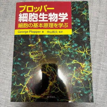 프로퍼 세포 생물학