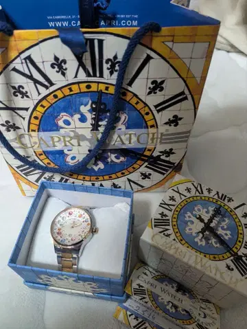 카프리 워치