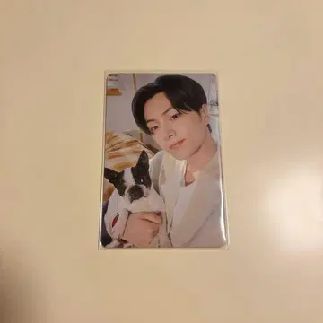 enhypen 제이 설문 트레이딩 카드