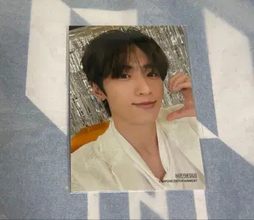 Lemino MUSIC FES 하프 사이즈 브로마이드 INI 허봉범