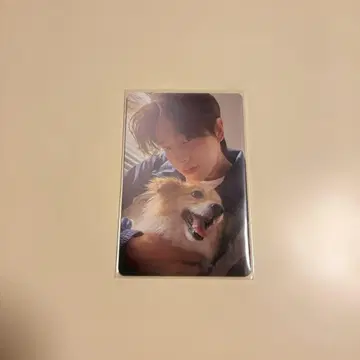 enhypen 제이크 설문 트레이딩 카드