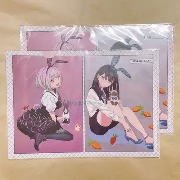 그리드맨 타카라다 리카 신죠 아카네 클리어 파일 rabbit ver.