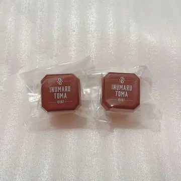 아이나나 이누마루 토우마 링 라이트