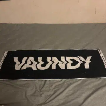 Vaundy 타월