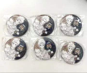 하이큐!! 올스타 캔뱃지 msby 히나타 쇼요 6개 세트