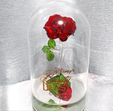 Disney 미녀와 야수 로즈돔