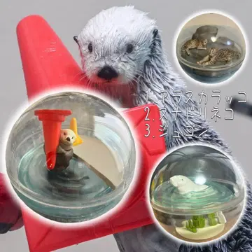 해달, 수달, 듀공 토바 수족관 카프리움 컬렉션 묶음 판매