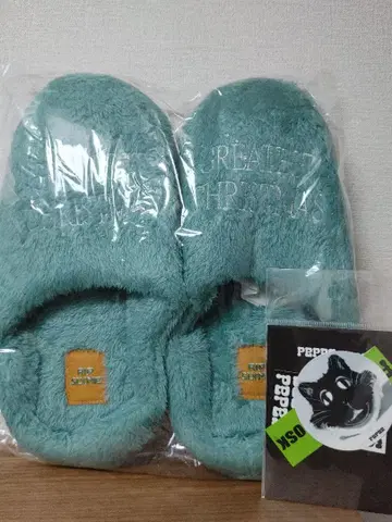 RIP SLYME Greatest Christmas 퍼 슬리퍼 + 덤