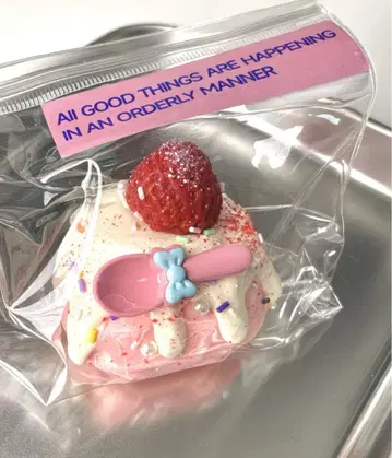 딸기 케이크 토롱 스퀴즈