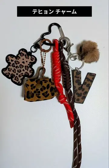 태현 참 미사용 레오파드 V