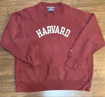 Champion reverse weave HARVARD XL 버건디