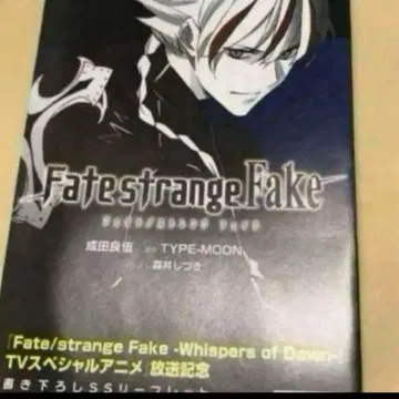 Fate strange Fake 새로 쓴 ss 리플렛 특전