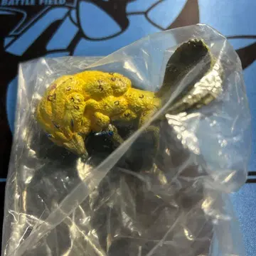 몬스터 헌터 몬헌 로알도스 1체