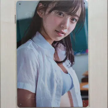 양철 간판 미녀 이미 제조 중단