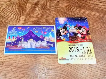 2018년 NewYear 디즈니 사용 완료 리조트 라인 포함 파크 티켓