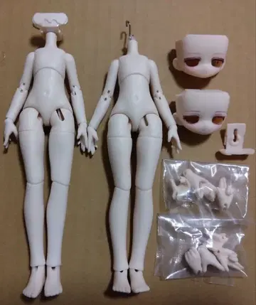 루나로아 월광동화 이야기 바디