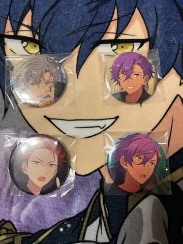 앙스타 코가 아도니스 쿠로