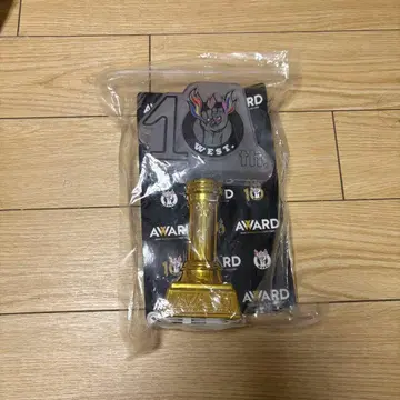 WEST AWARD 응원봉