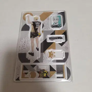 하이큐!! 미야 아츠무