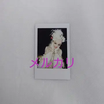 카야 폴라로이드 퀸 슈바르츠 슈타인