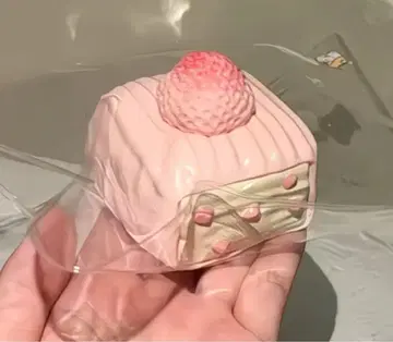 딸기 케이크 토롱 스퀴즈