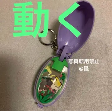 포켓 크리처 나비