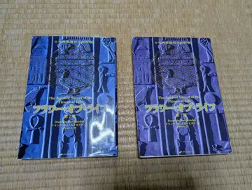 플라워 오브 라이프 2권 세트