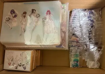 신만이 아는 세계