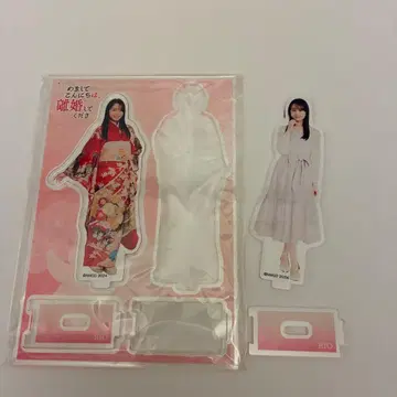 하야시 메아리 하리지리코 아크릴 스탠드 2점