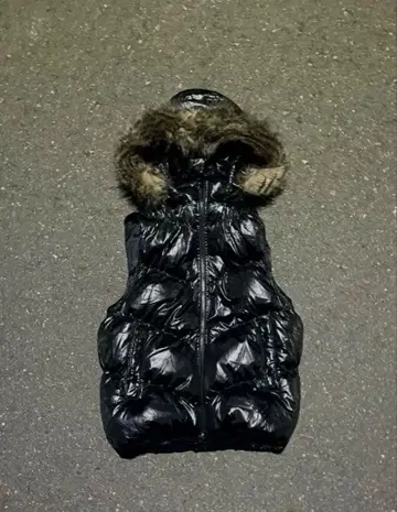 GAP 40주년 다운 베스트 퍼 다운 베스트