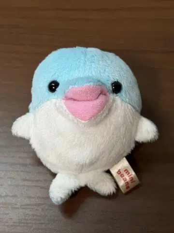 미니 콩 돌고래 봉제 인형
