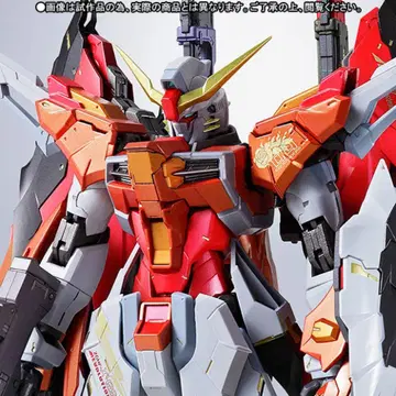 METAL BUILD 데스티니 건담 하이네기