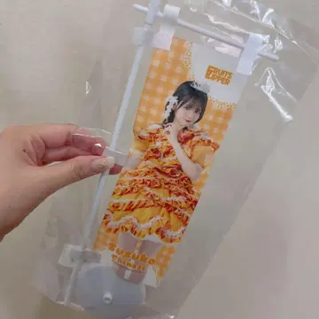 FRUITS ZIPPER 스키복권 미니 족자봉 진세이 스즈카