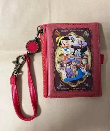 피노키오 패스 케이스?