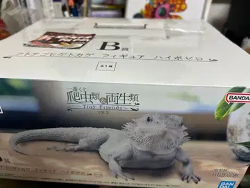 B상 아머드 스케일드 리자드 + 도마뱀 피규어 세트