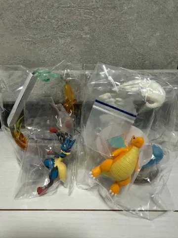 흔들리는 포켓몬의 한때