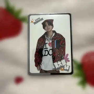 D리그 트레이딩 카드 쇼타로