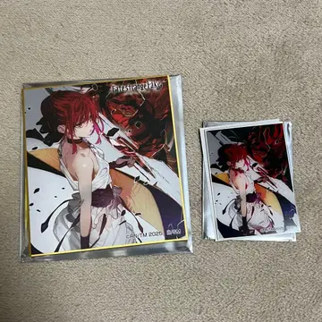 Fate/strange Fake 미니 색지 아크릴 카드 9권