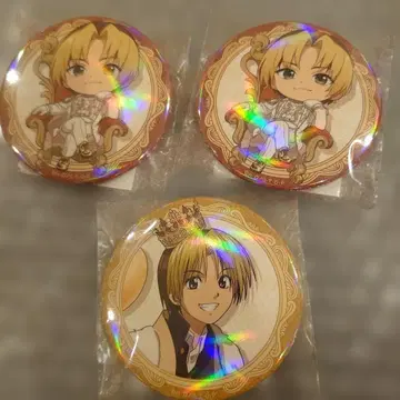 제비뽑기당 신도 히카루 Birthday 복권 D상 키라키라 캔뱃지 3개