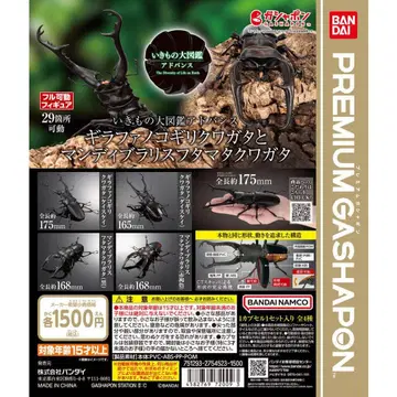 생물대도감 어드밴스 킬라파사슴벌레 케이스케이